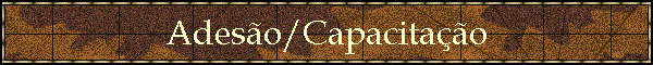 Adeso/Capacitao