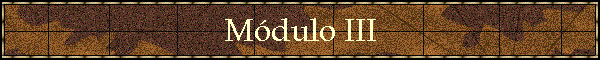 Mdulo III