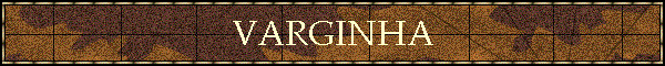 VARGINHA